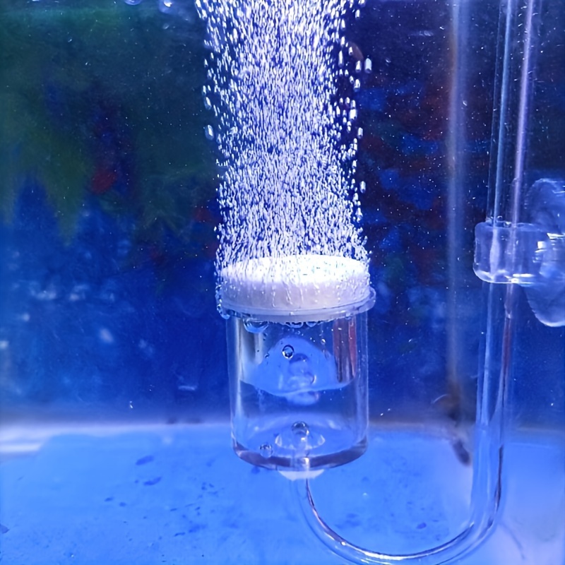 Aquarium Marine Plants - Akvaryum Cam CO2 Atomizer Difüzör Kabarcık