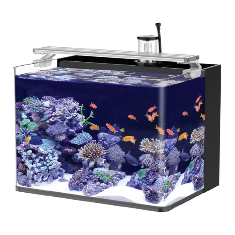 Marine Aquarium All In One - Kavisli Tuzlu Su Deniz Balığı Akvaryumu,