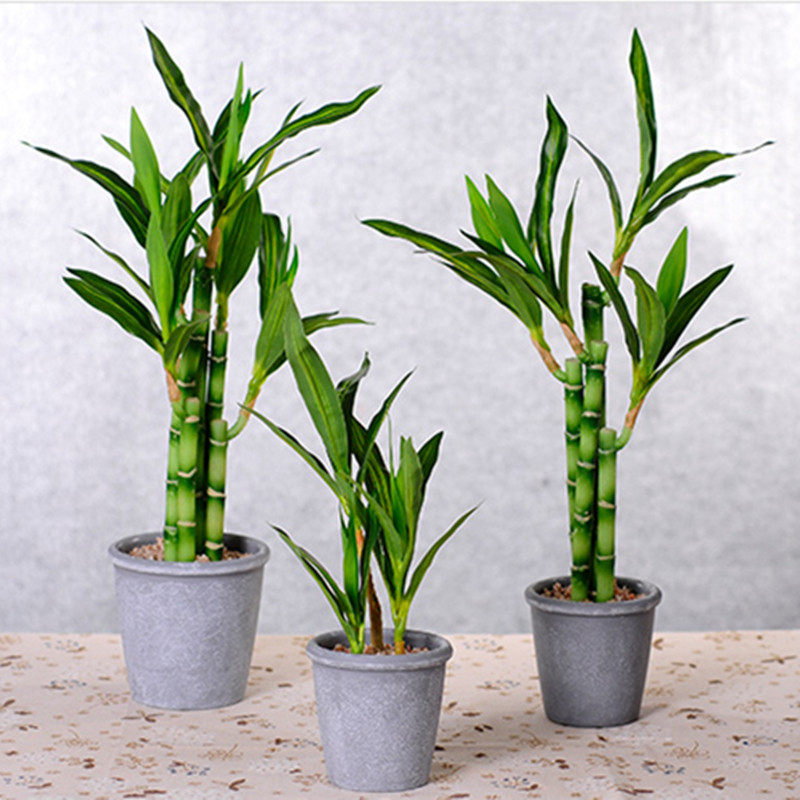 Yeni 40cm Yapay Şanslı Bambu S - Aquarium Marine Plants incelemesi ve fiyatı