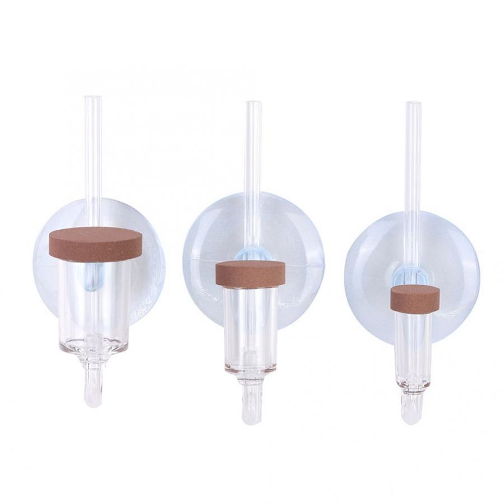 Akrilik Mini Balık Tankı Canlı - Aquarium Marine Plants incelemesi ve fiyatı