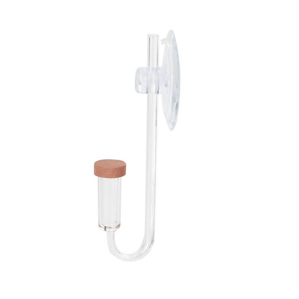 Akrilik Mini Balık Tankı Canlı - Aquarium Marine Plants incelemesi ve fiyatı