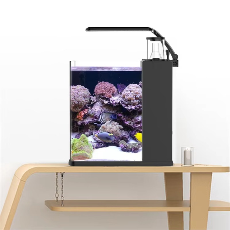 Kavisli Tuzlu Su Deniz Balığı  - Marine Aquarium All In One incelemesi ve fiyatı