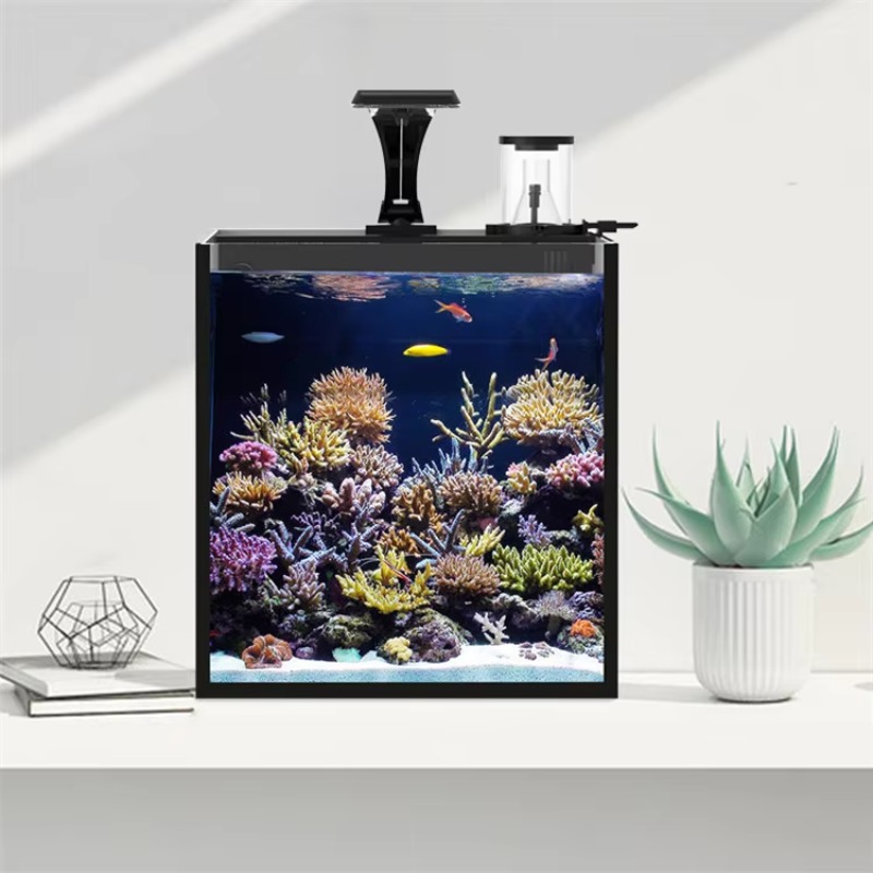 Kavisli Tuzlu Su Deniz Balığı  - Marine Aquarium All In One incelemesi ve fiyatı