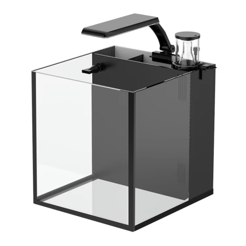 Kavisli Tuzlu Su Deniz Balığı  - Marine Aquarium All In One incelemesi ve fiyatı
