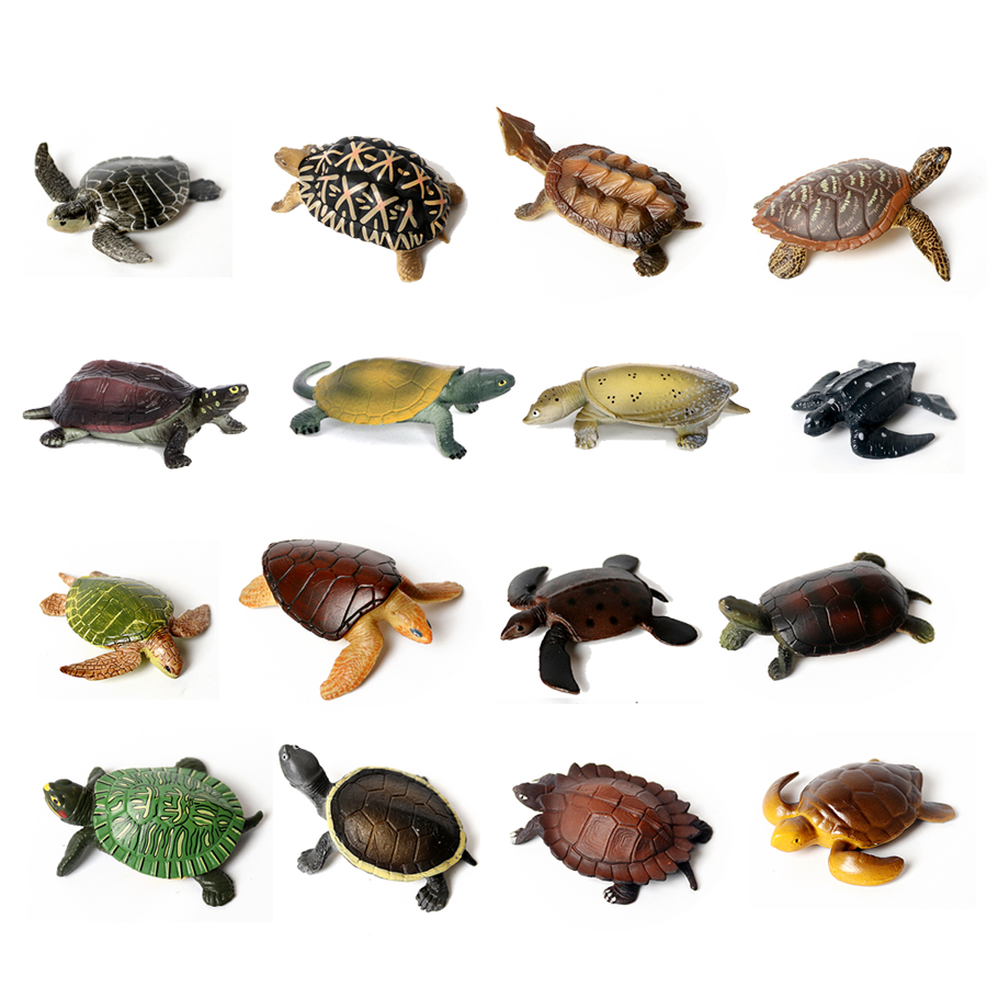 Gerçekçi minyatürleri deniz ya - Marine Aquarium & Regional Centre Reviews incelemesi ve fiyatı